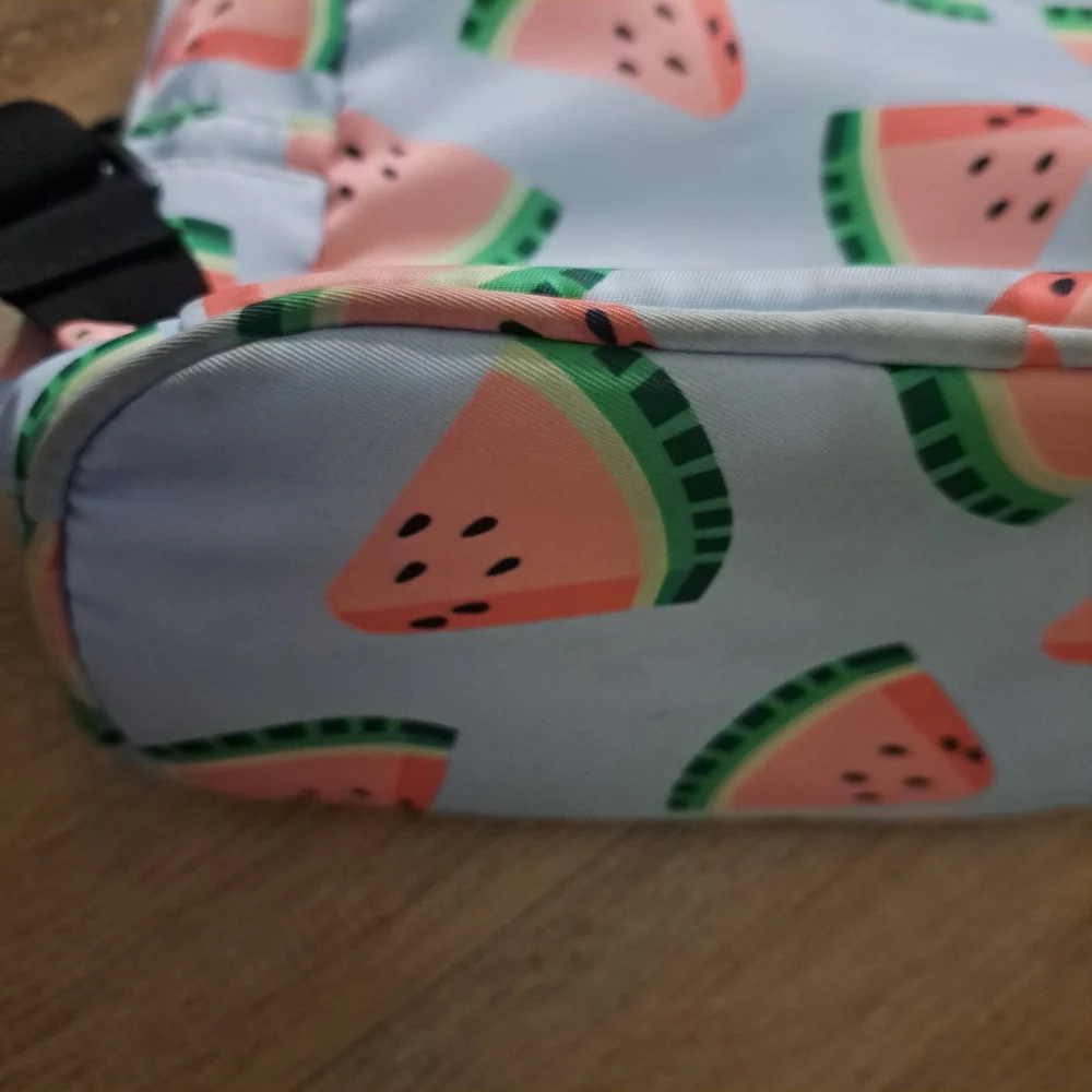 Kids Youth Girl's Blue Pink Watermelon Print Mini Backpack